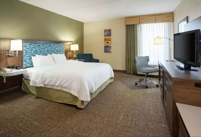 هتل Hampton Inn Buffalo South/i90