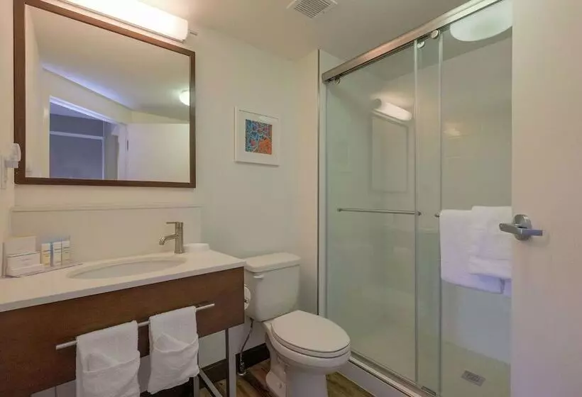 ホテル Hampton Inn Edenton