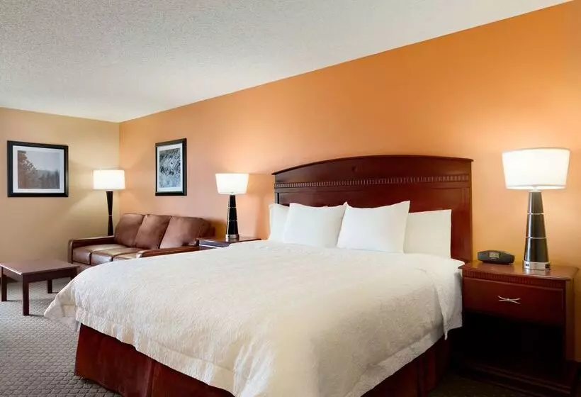 ホテル Hampton Inn Longmont