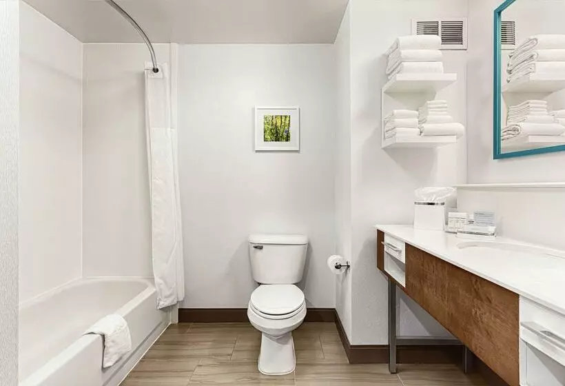 ホテル Hampton Inn Morganton