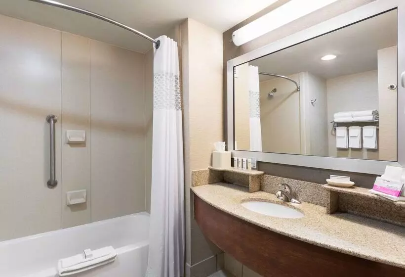 酒店 Hampton Inn By Hilton Odessa