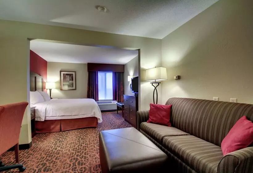 호텔 Hampton Inn Ottawa