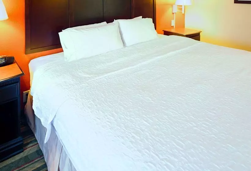 Hotelli Hampton Inn Richmondmechanicsville