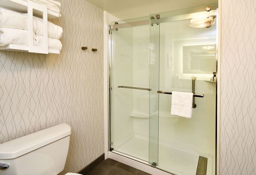 בית מלון כפרי Hampton Inn Santee I 95