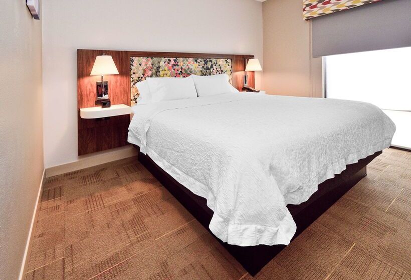 בית מלון כפרי Hampton Inn Santee I 95