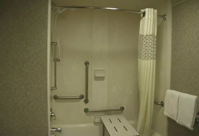 ホテル Hampton Inn Stroudsburg/poconos