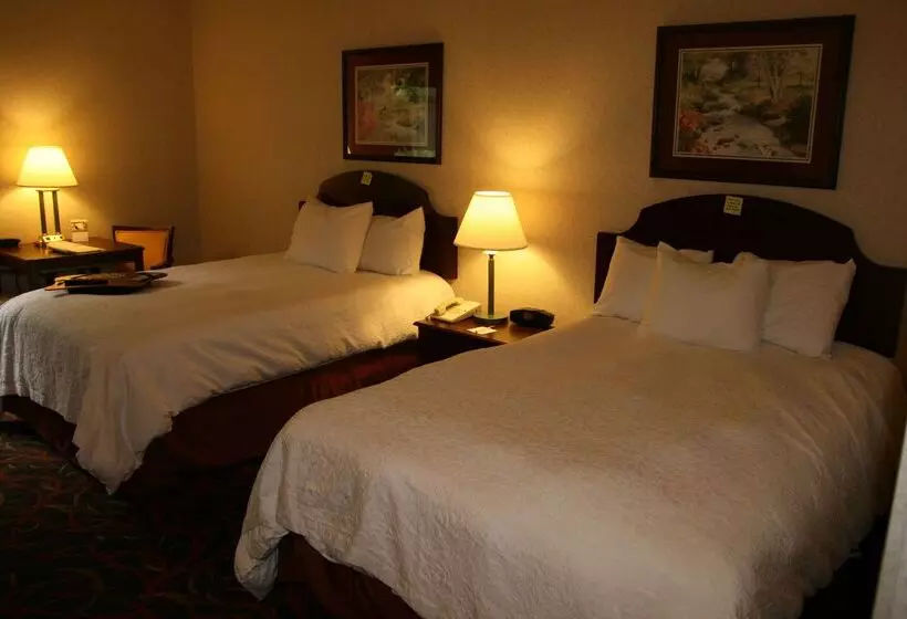 ホテル Hampton Inn Stroudsburg/poconos