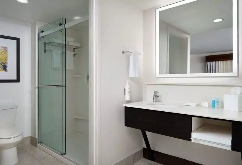 Otel Hampton Inn & Suites Austindowntown/convention Center