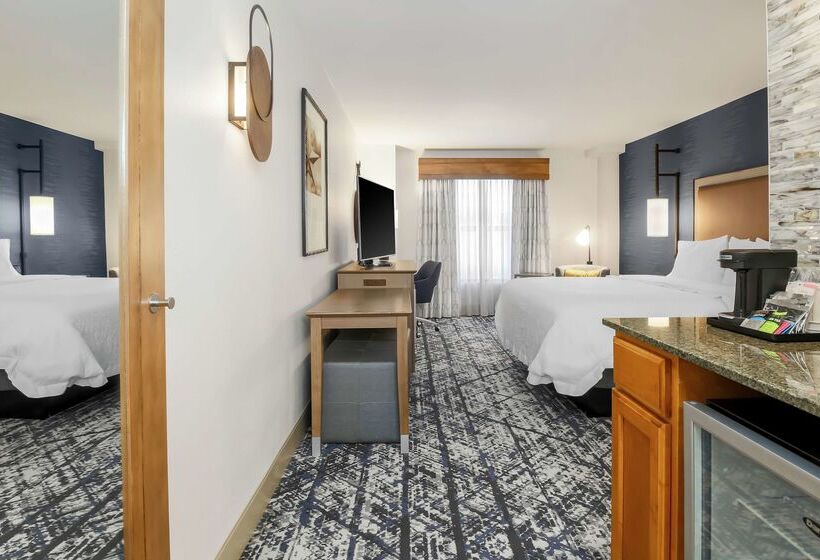 Hotel Hampton Inn & Suites Austindowntown/convention Center