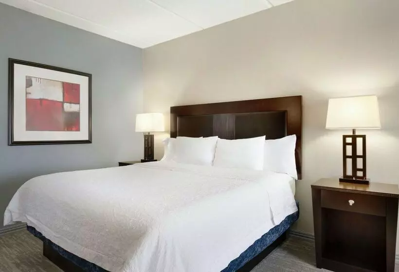 Hotel Hampton Inn & Suites Houston/clear Lakenasa Area