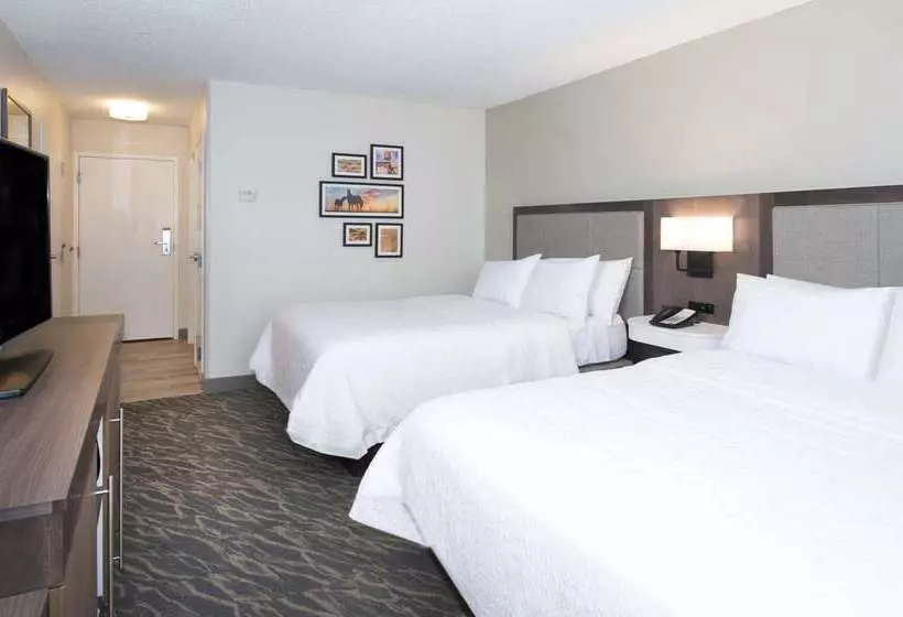 ホテル Hampton Inn & Suites N. Ft. Worthalliance Airport
