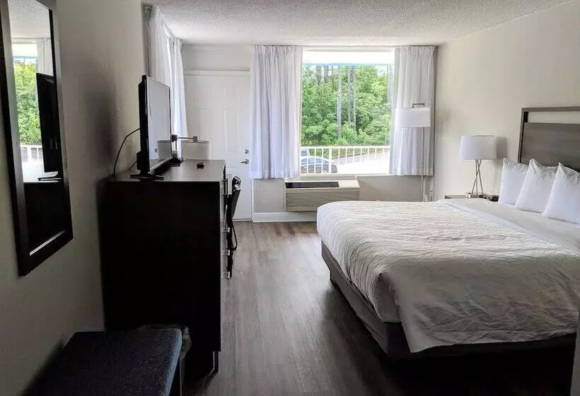 호텔 Lakefront Terrace Resort