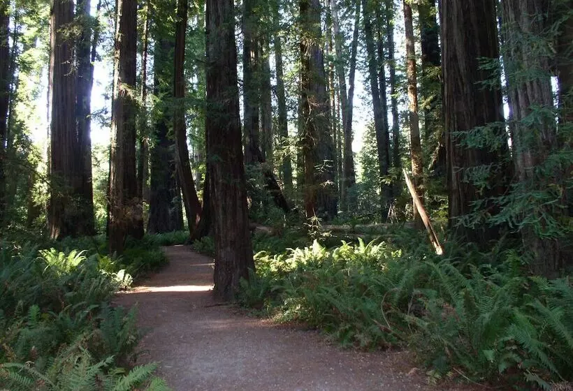 ホテル Oceanfront Lodge