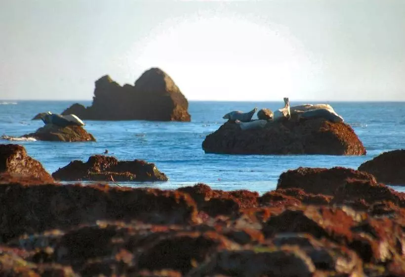 ホテル Oceanfront Lodge