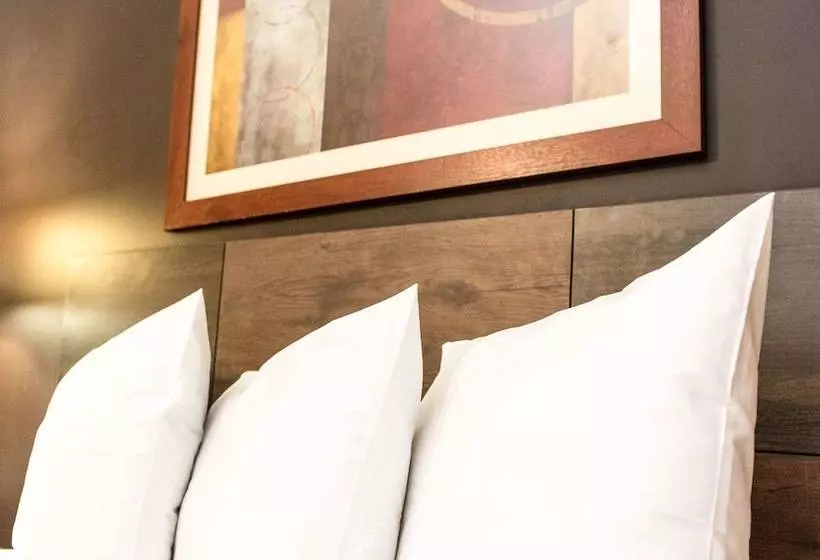 酒店 Suburban Studios Charlotteballantyne