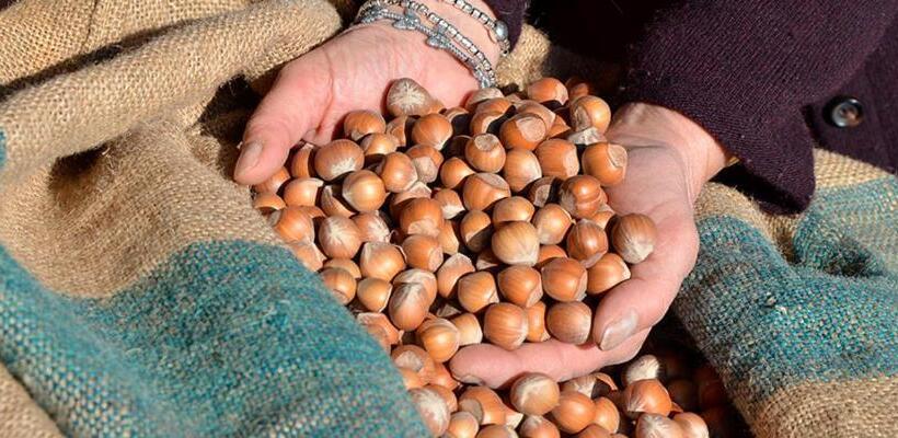 ホテル La Madonnina Agriturismo Dorè