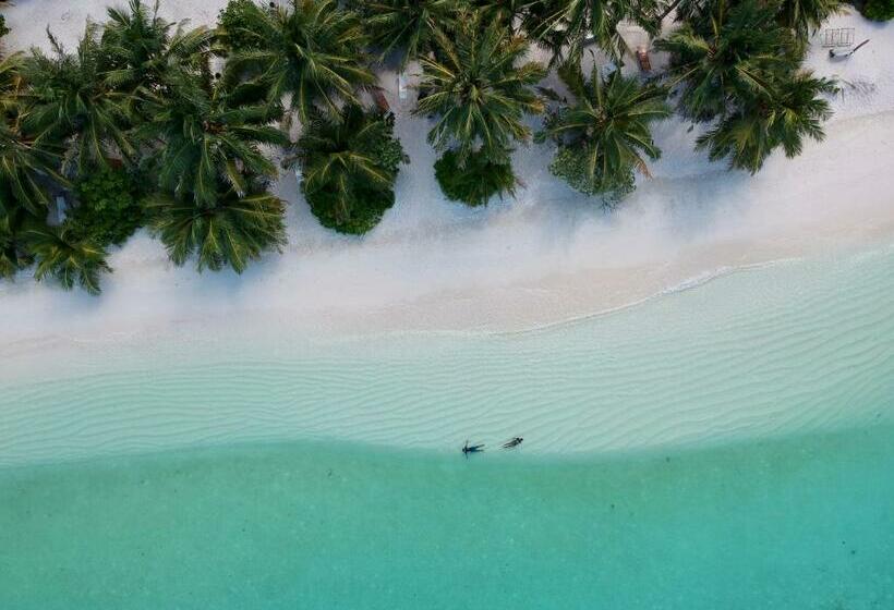 پانسیون Thoddoo Sun Sky Inn, Maldives