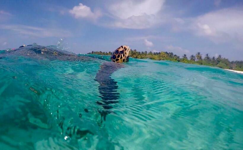پانسیون Thoddoo Sun Sky Inn, Maldives