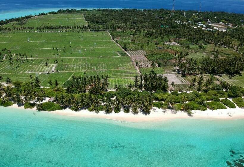 پانسیون Thoddoo Sun Sky Inn, Maldives