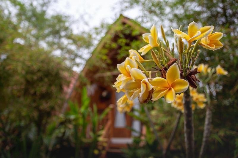 민박 Penida Krusty Hill By Ecommerceloka