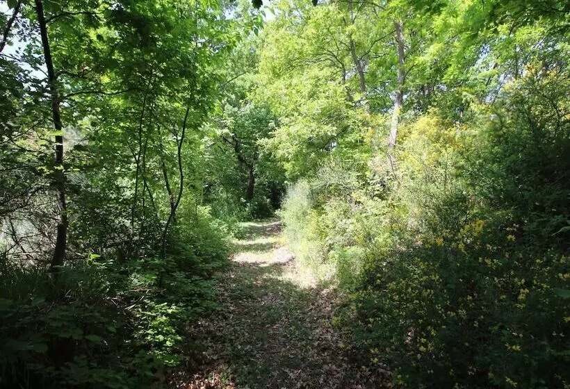 Country House With Pool At 700 Meters, Cycling And Walking Opportunities