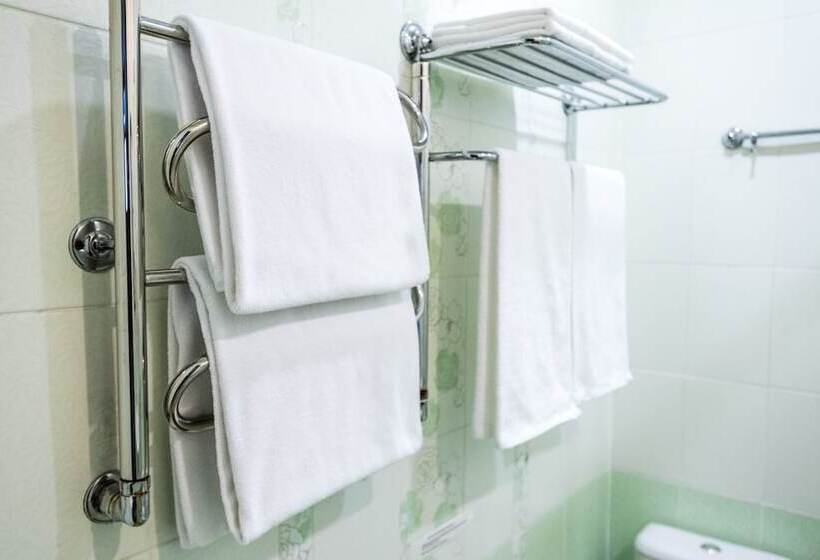 فندق فئة نجمة واحدة Art