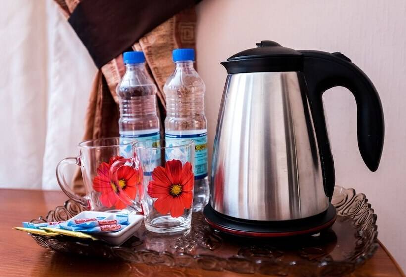 فندق فئة نجمة واحدة Art