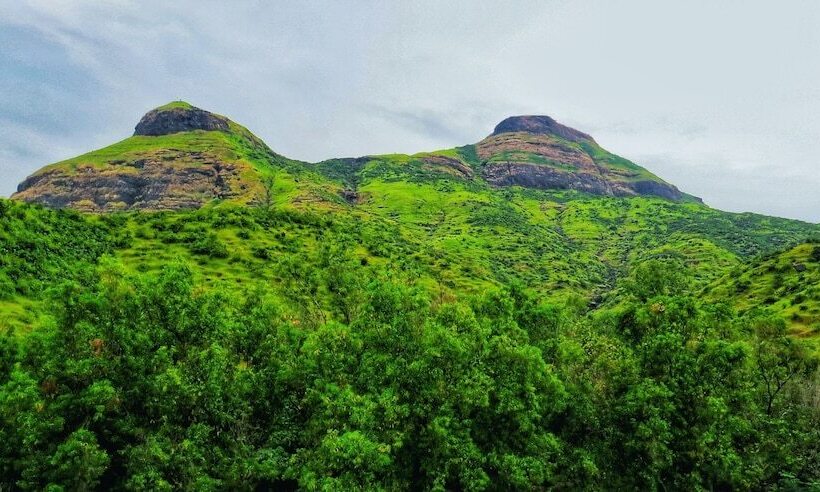 Golden Resort And Farm