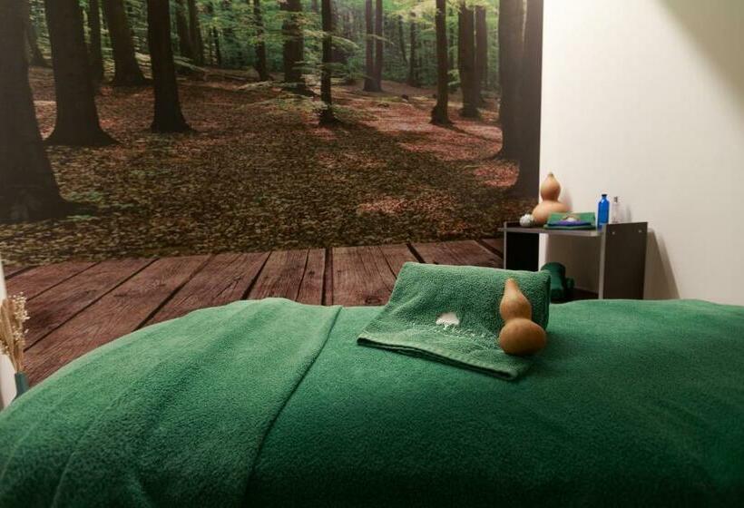 Olive Nature Hotel & Spa   Quinta Valle De Passos