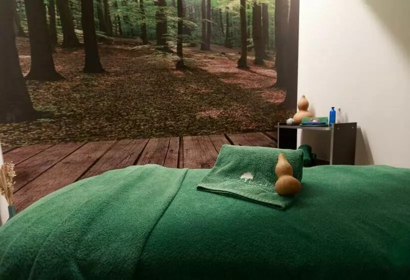 Olive Nature Hotel & Spa   Quinta Valle De Passos