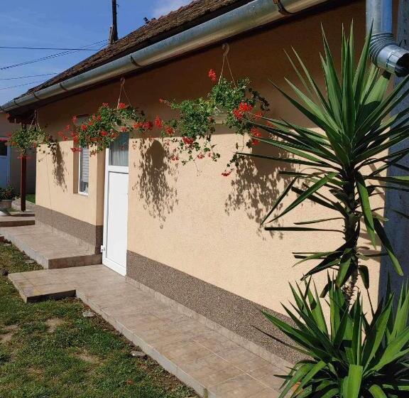 펜션 Ezüstfenyő Vendégház