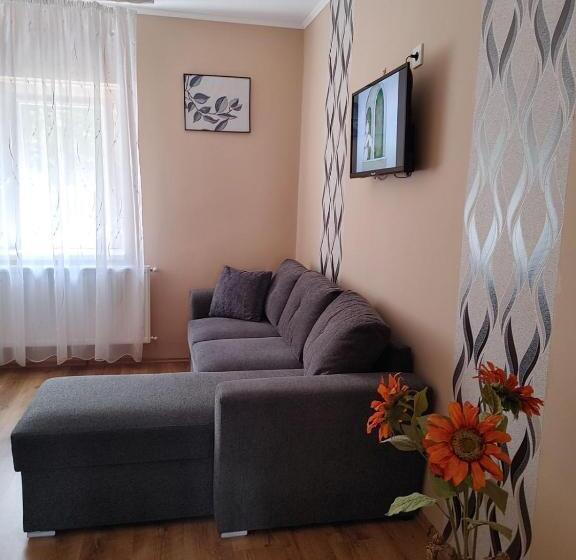 펜션 Ezüstfenyő Vendégház