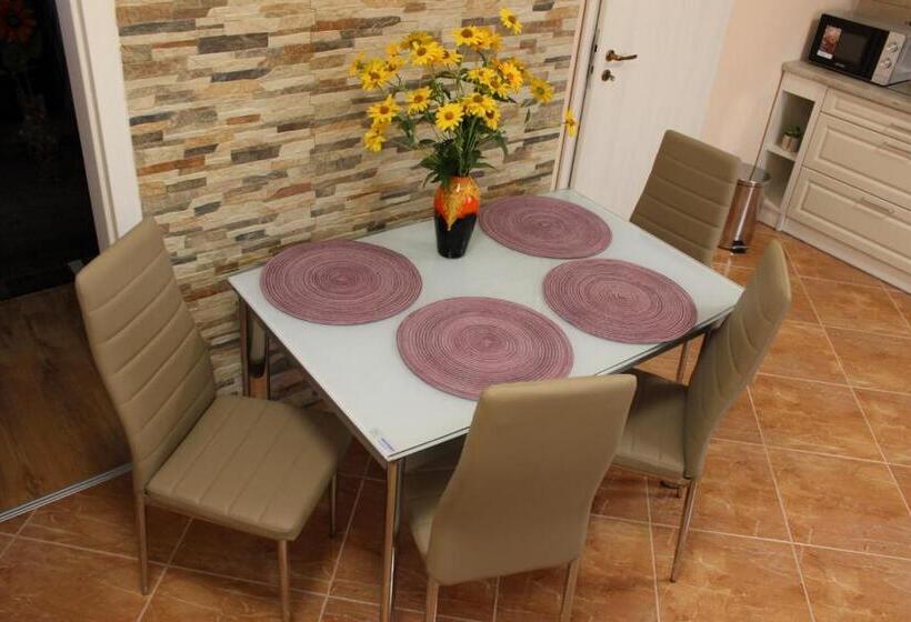 펜션 Ezüstfenyő Vendégház