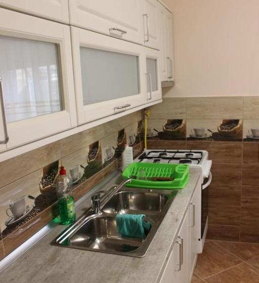 펜션 Ezüstfenyő Vendégház