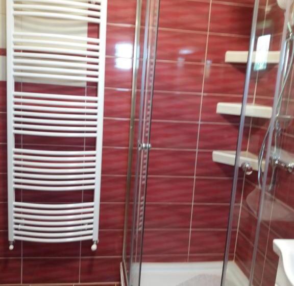 펜션 Ezüstfenyő Vendégház