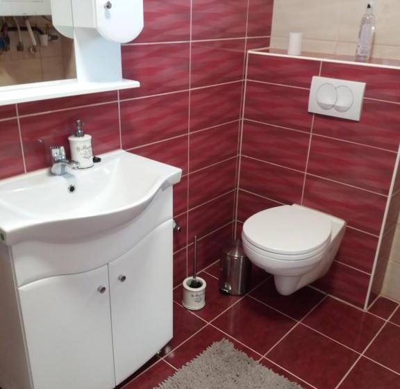 펜션 Ezüstfenyő Vendégház