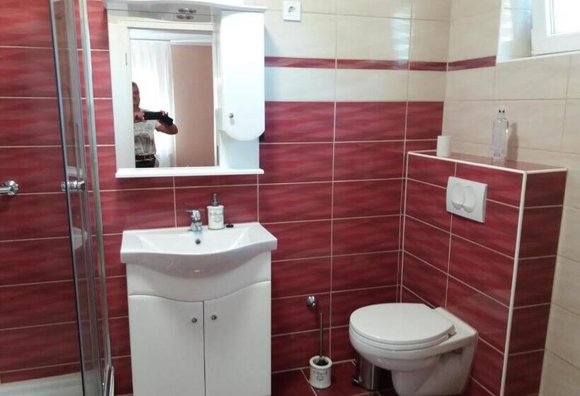 펜션 Ezüstfenyő Vendégház