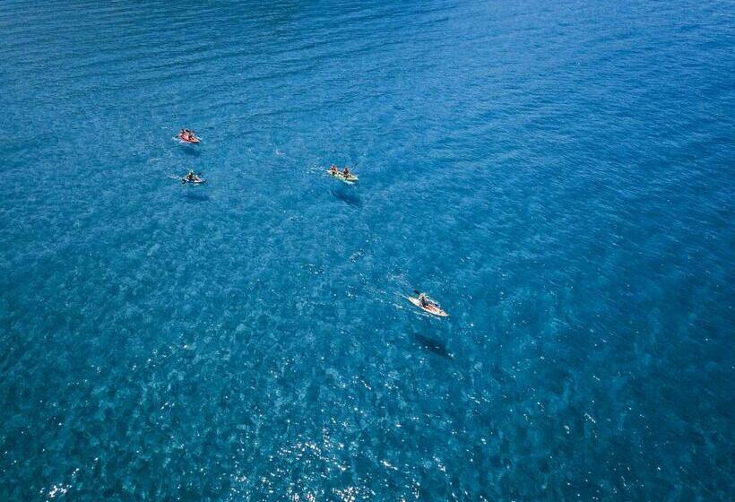 The Pink Palace Hostel