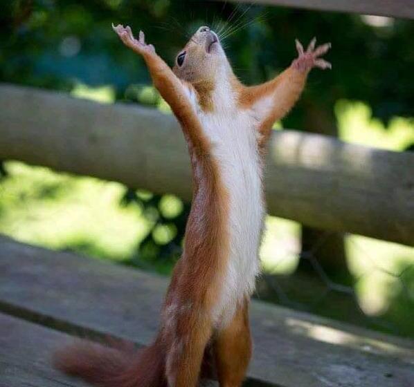 هاستل Stilts Diani Beach