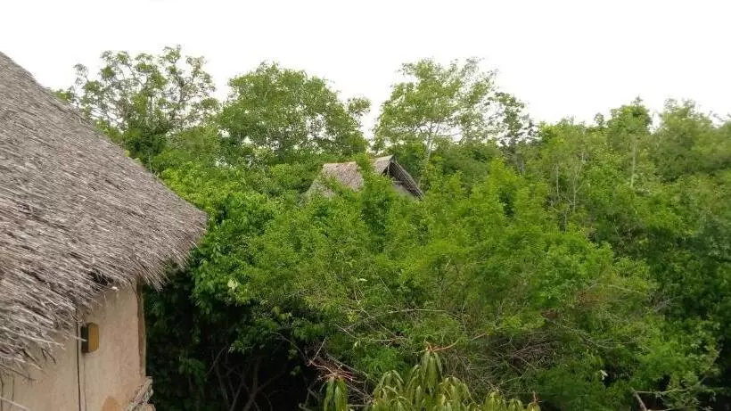 هاستل Stilts Diani Beach