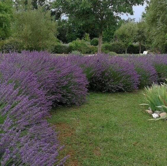 צימר Chambre D'hotes Le Lavoir