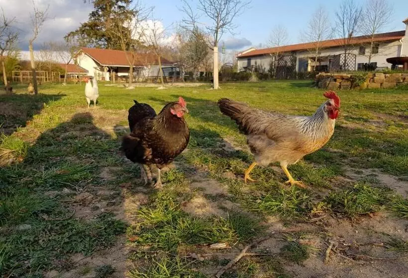 Aamiaismajoitus (B&B) Château Des Périchons