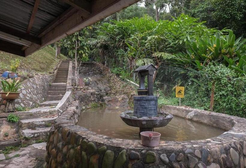 Отель Oyo 89928 Acf Guest House