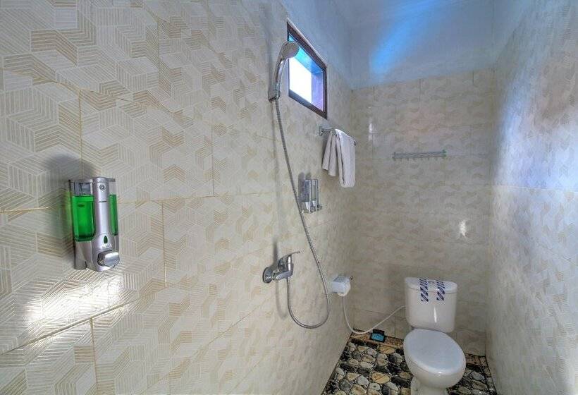 פנסיון Ary's Guest House