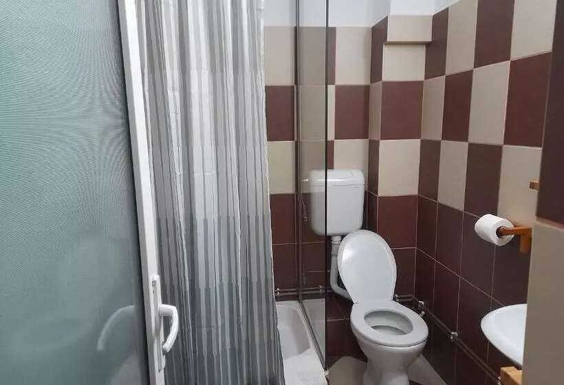 Pensiunea Trei Ponei