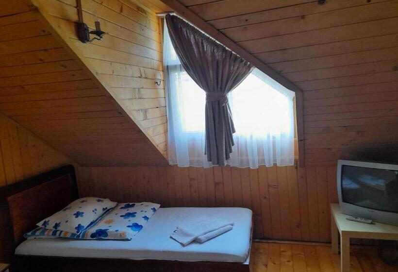 Pensiunea Trei Ponei