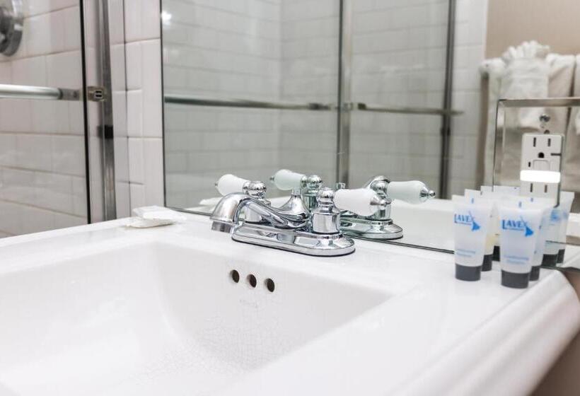 Stylish Studio In Boston Brownstone, C.ave #21