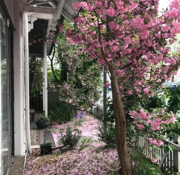 旅馆 Flying Fox Backpackers