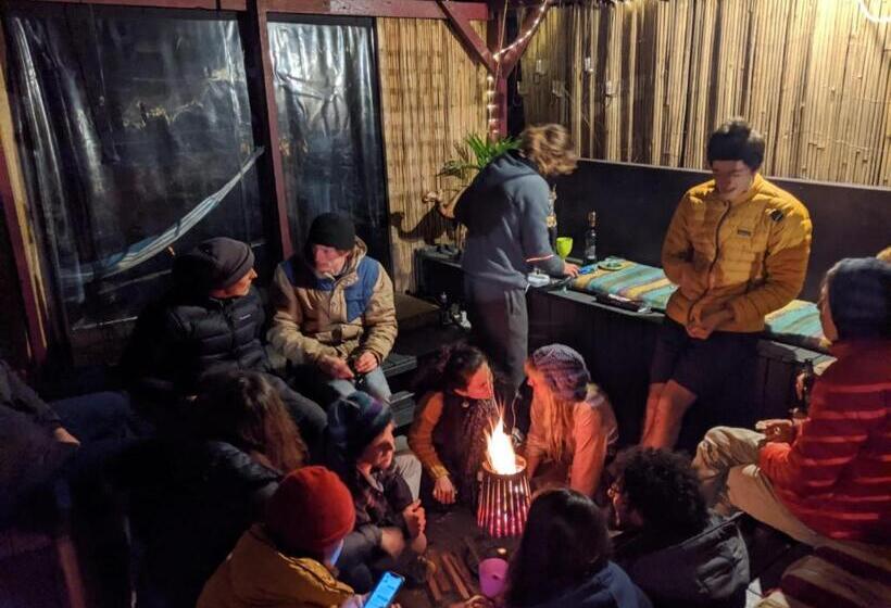 旅馆 Flying Fox Backpackers