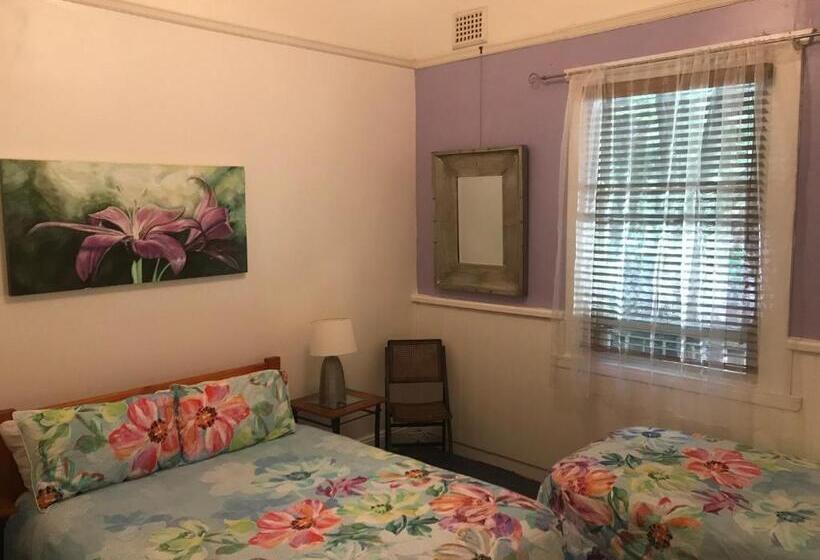 旅馆 Flying Fox Backpackers